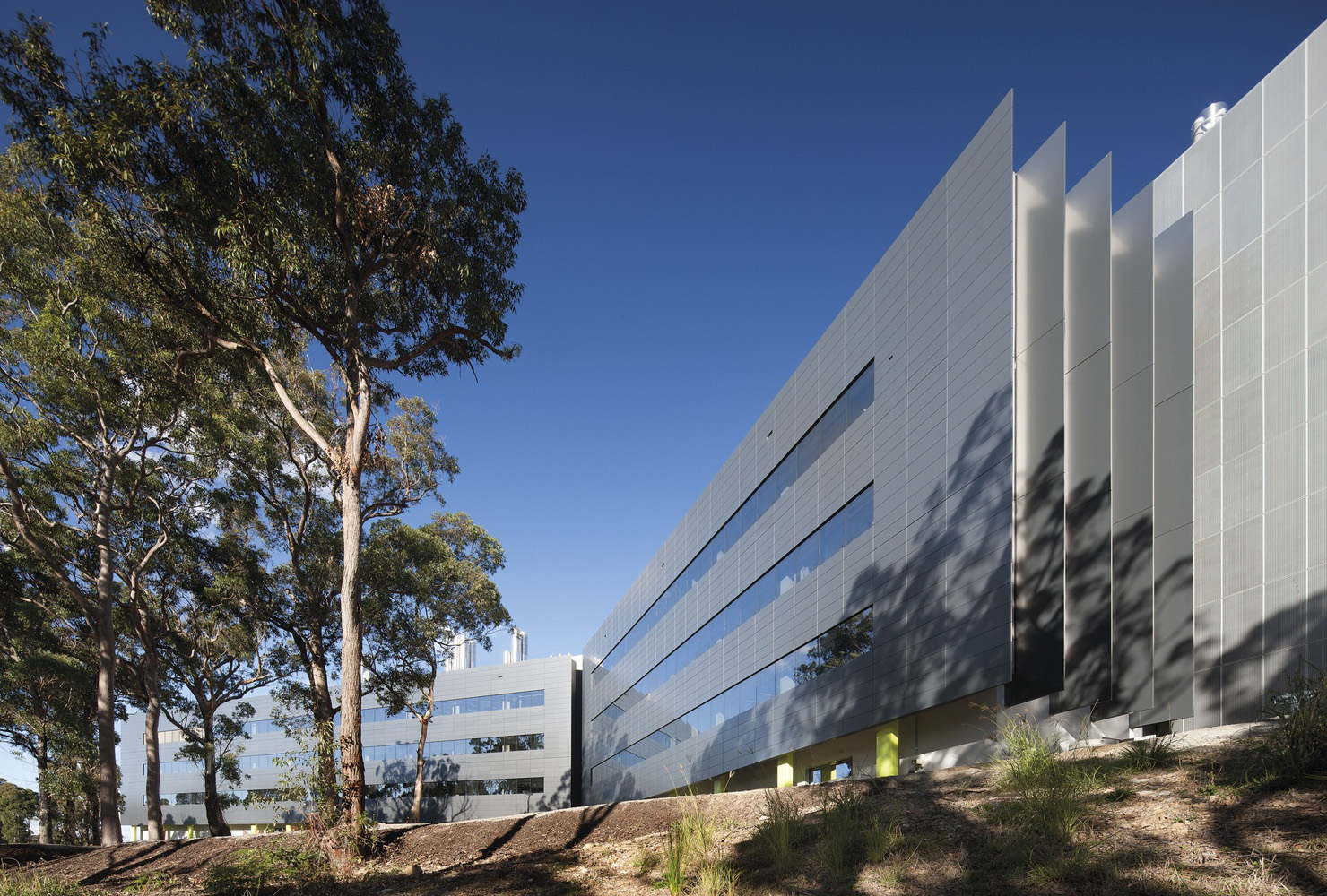 hunter medical research institute newcastle