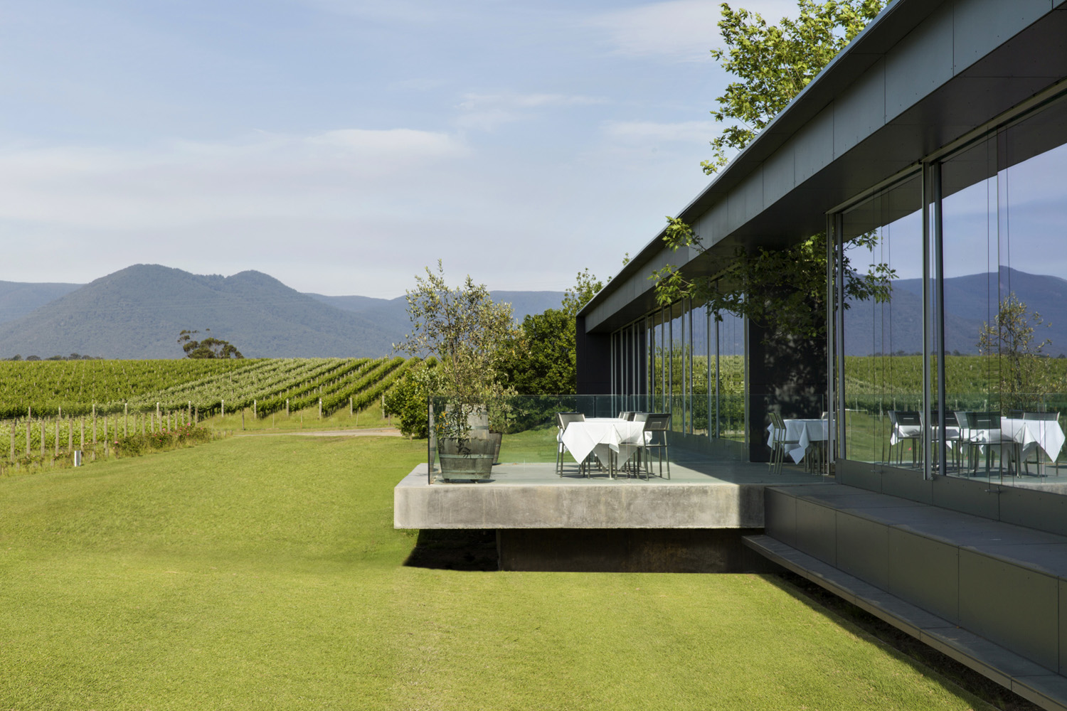 oakridge-winery-cellar-door-restaurant-denton-corker-marshall