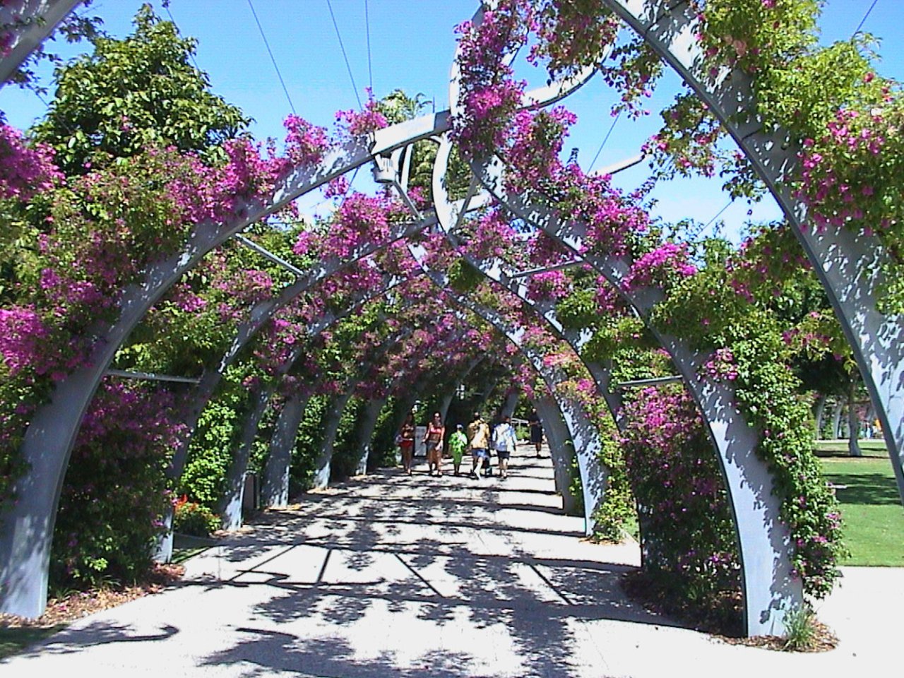 South Bank Grand Arbour + Pergolas