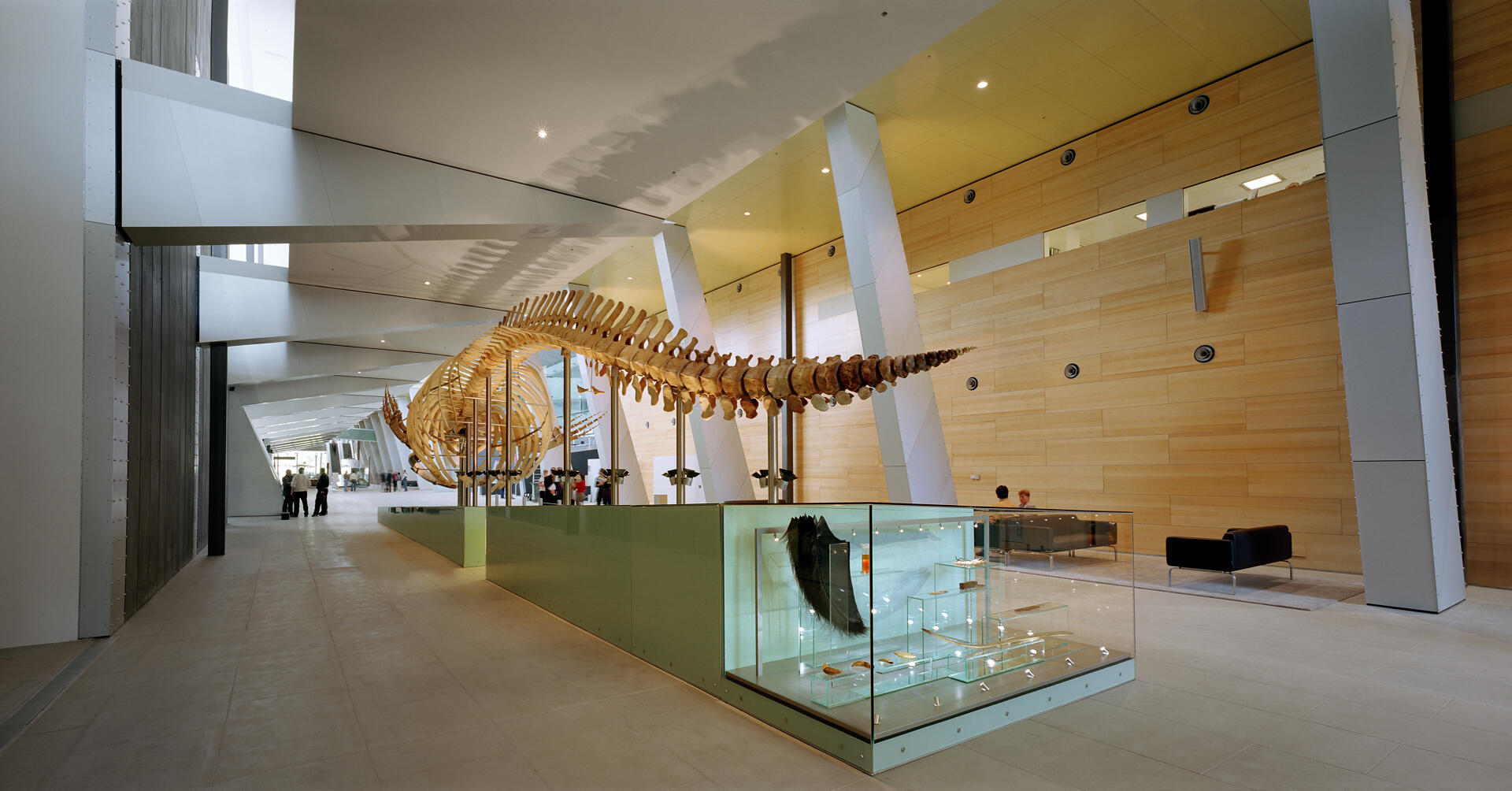 Melbourne Museum