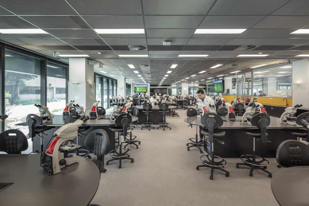 Biomedical Learning + Teaching Building, Monash University