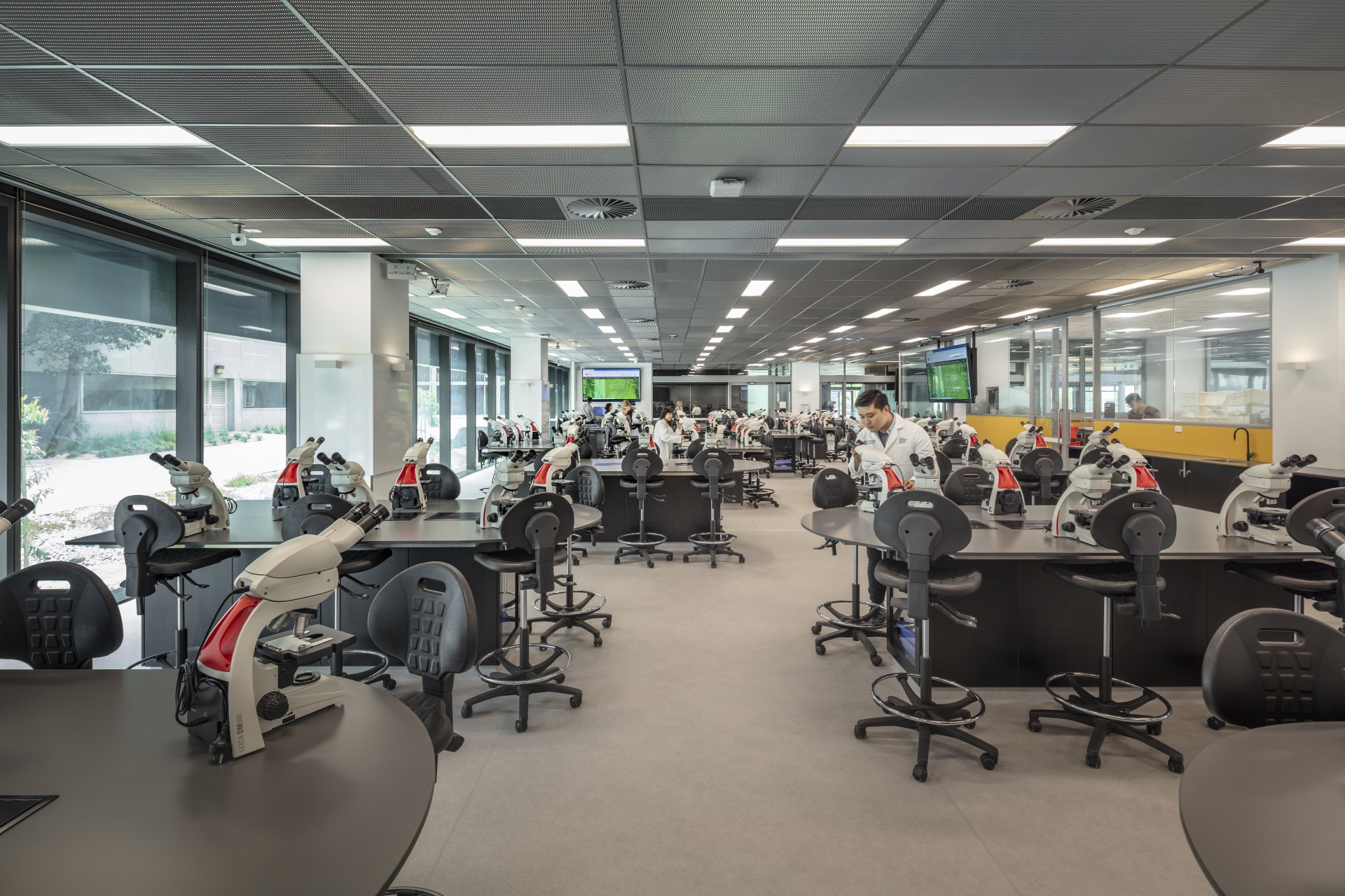 Biomedical Learning + Teaching Building, Monash University