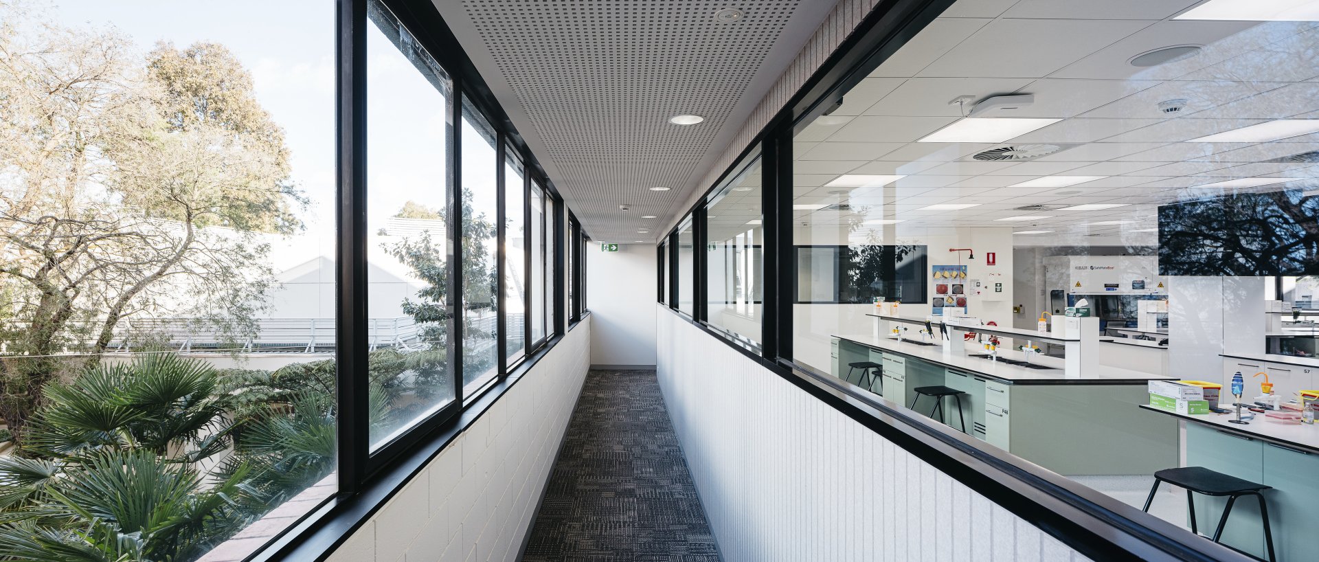Innovation in Technology + Science, Deakin University