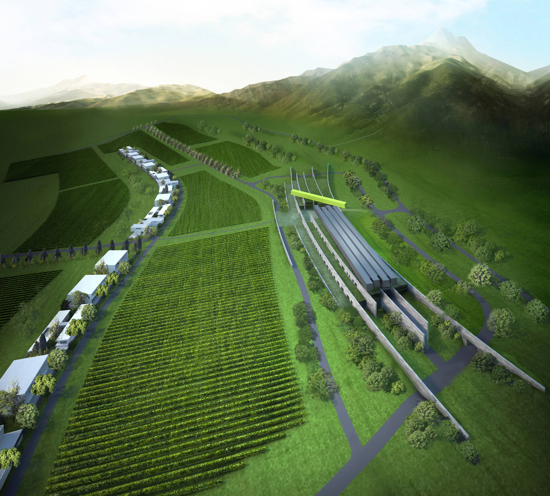 Zhongkun Vineyard