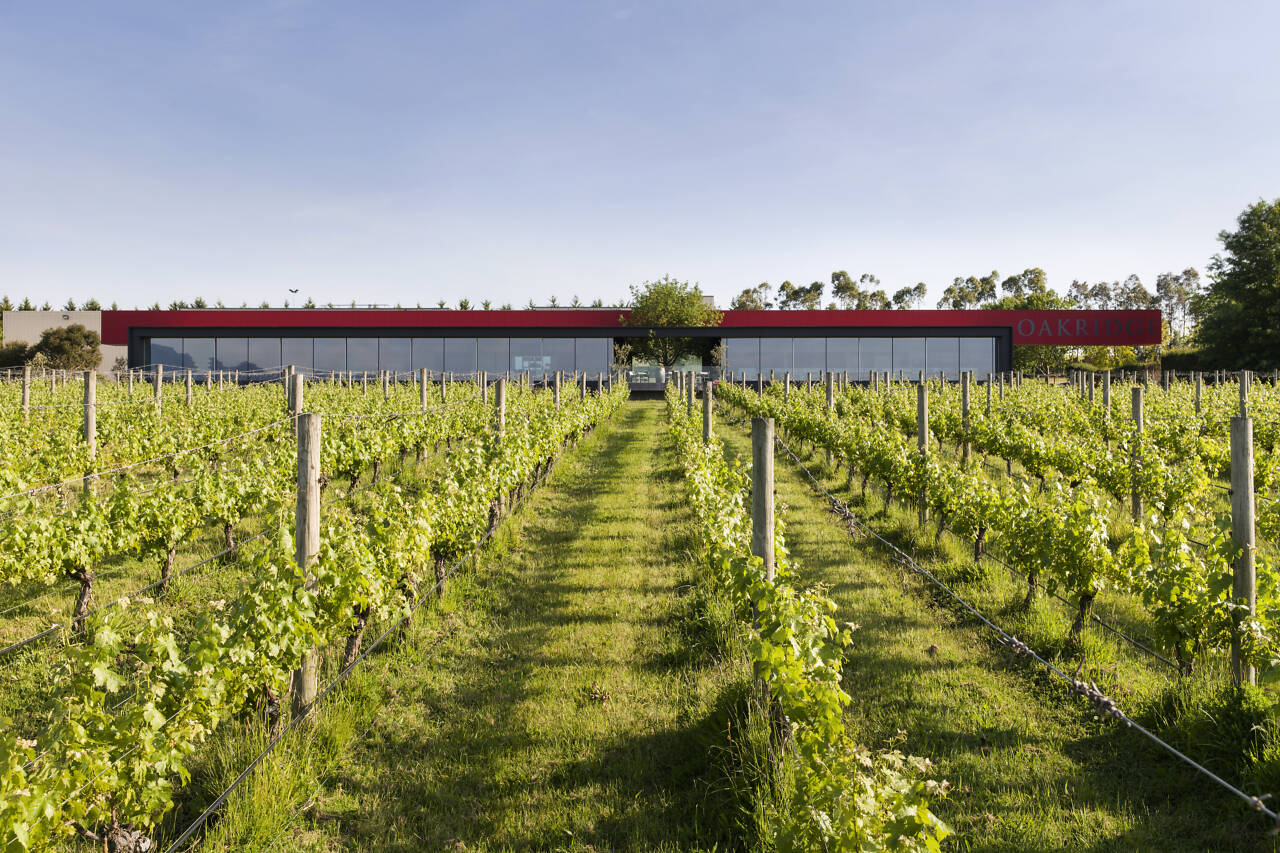 Oakridge Winery, Cellar Door + Restaurant