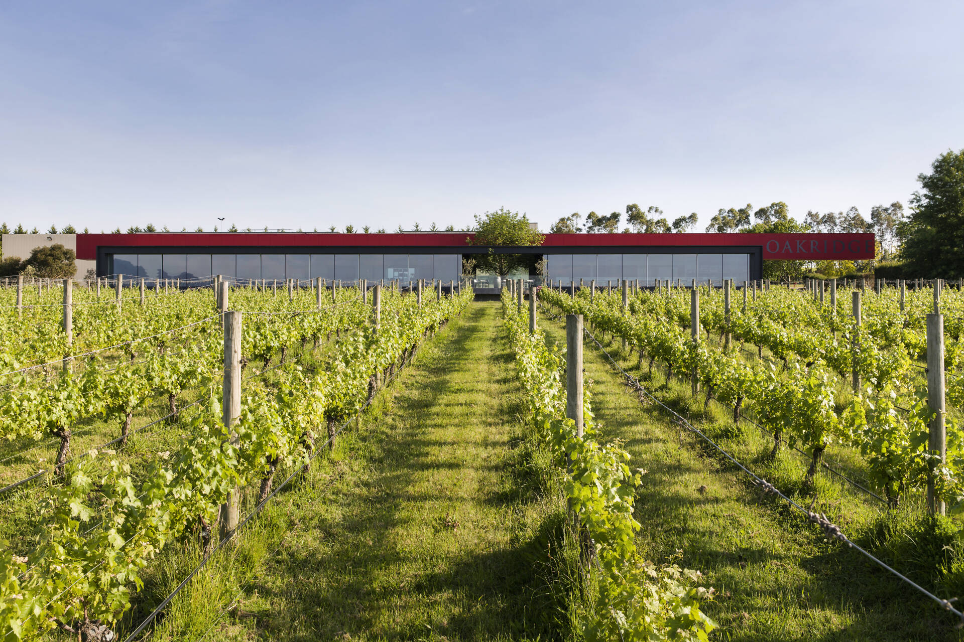 Oakridge Winery, Cellar Door + Restaurant