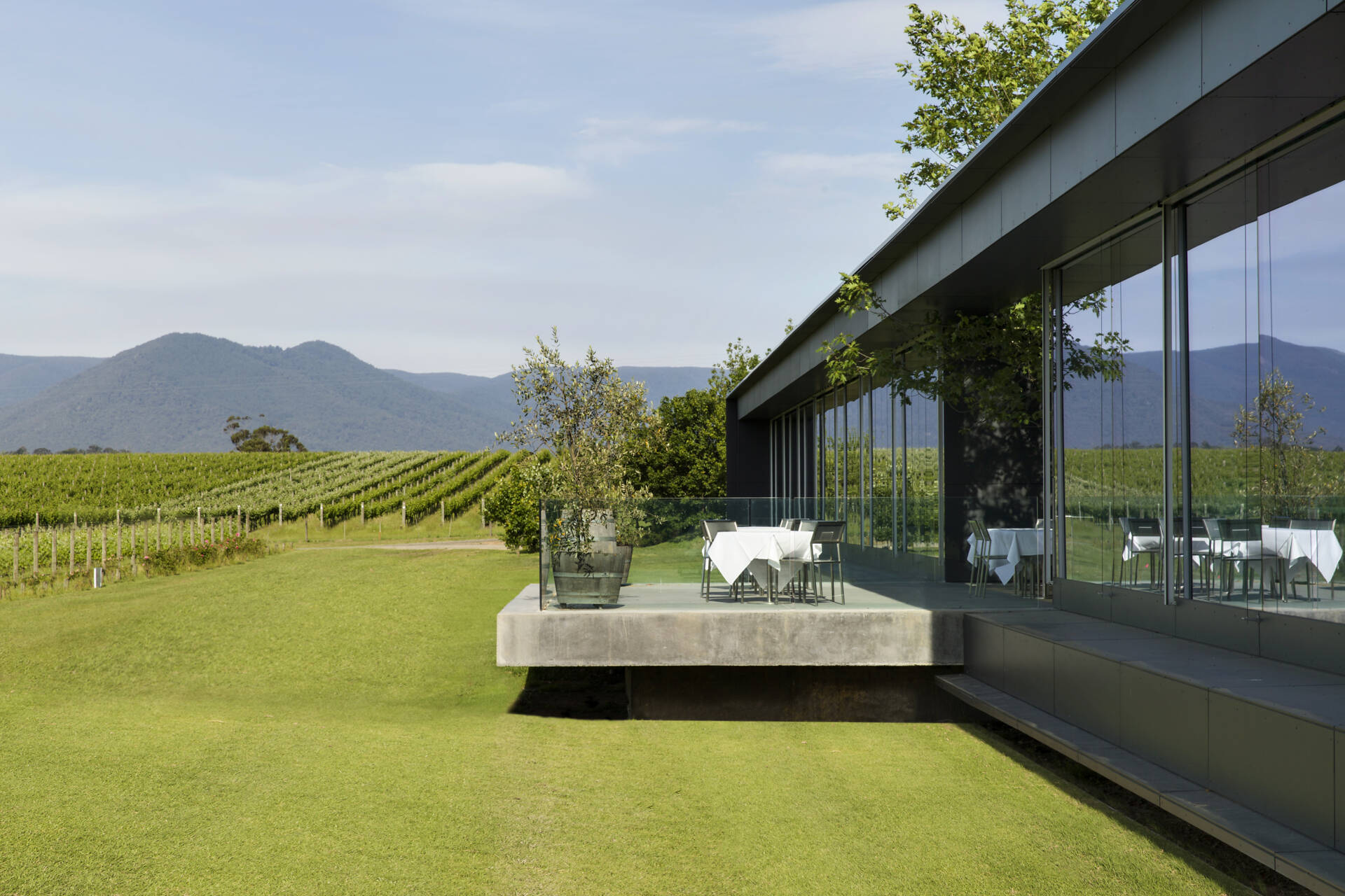 Oakridge Winery, Cellar Door + Restaurant