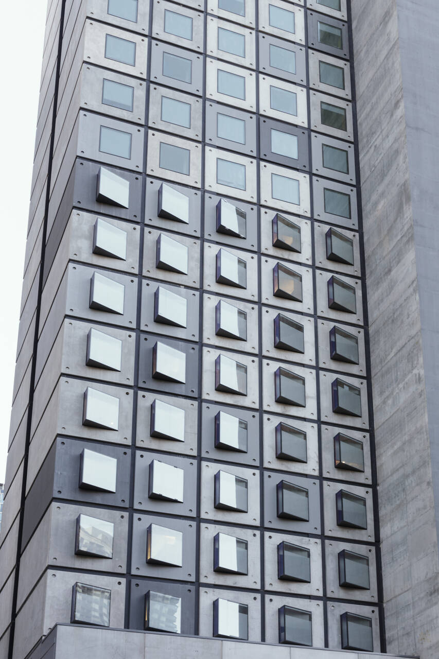 Scape Swanston