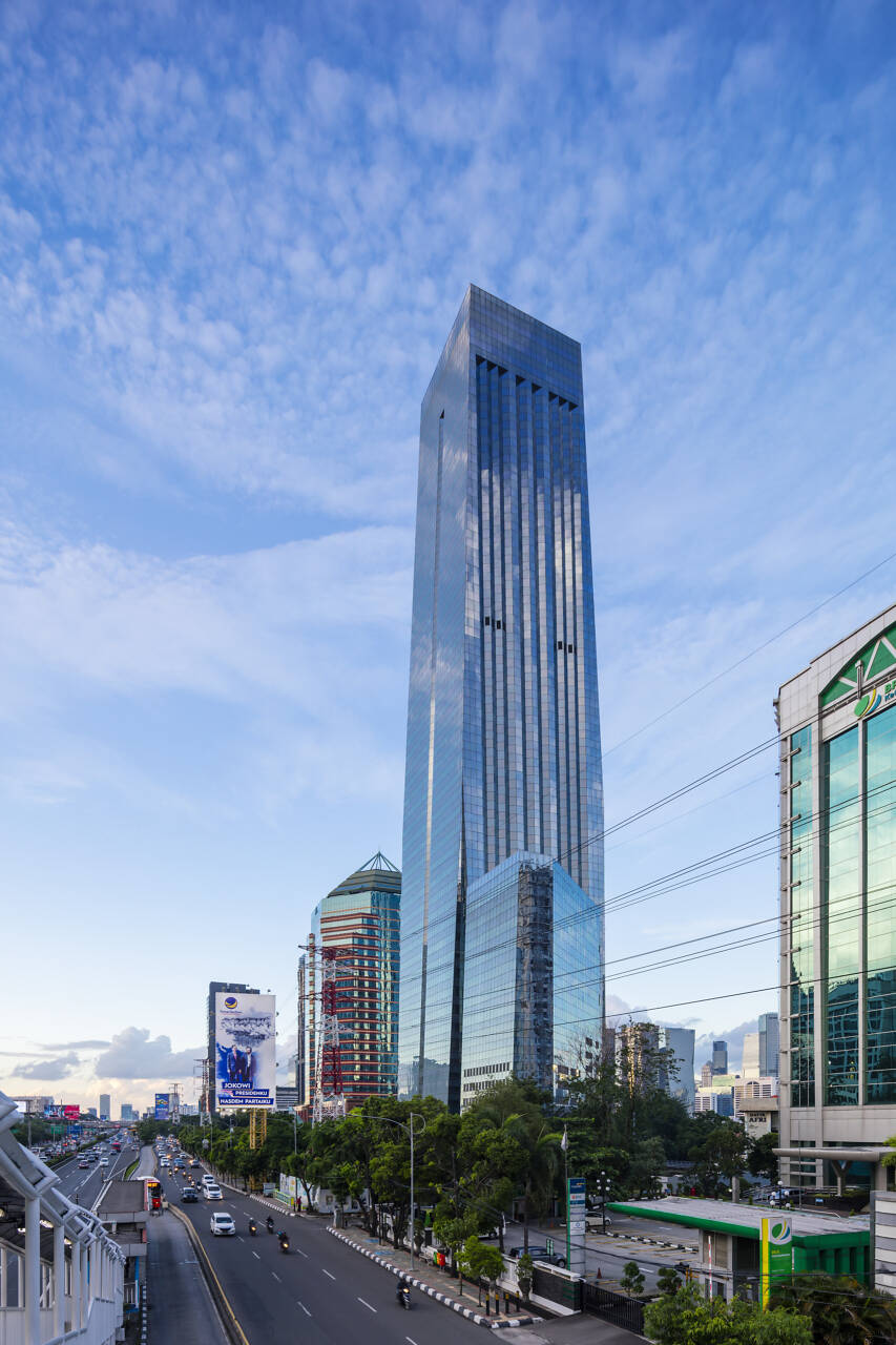The Tower